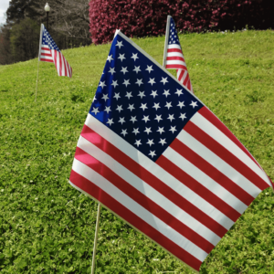 Stick Flags