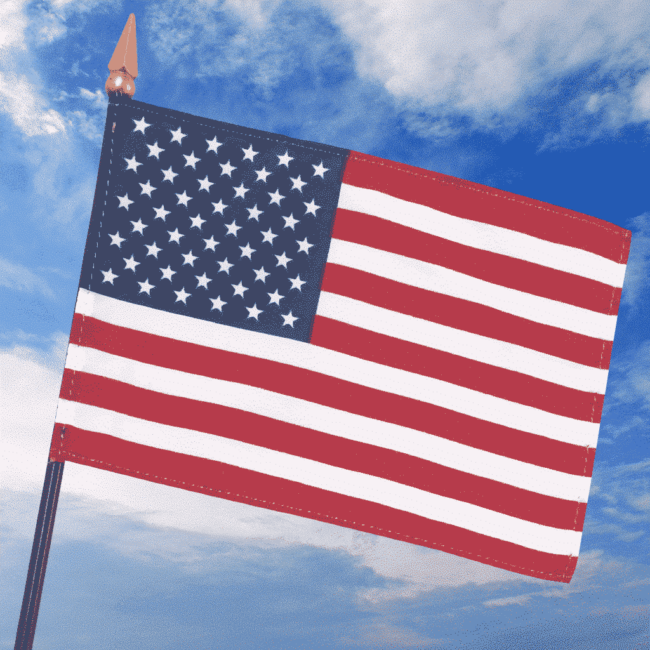 US Stick Flag 8"x12"