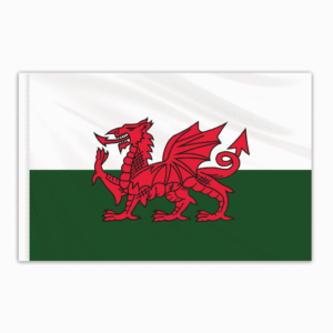 Wales Indoor Nylon Flag 3'x5'