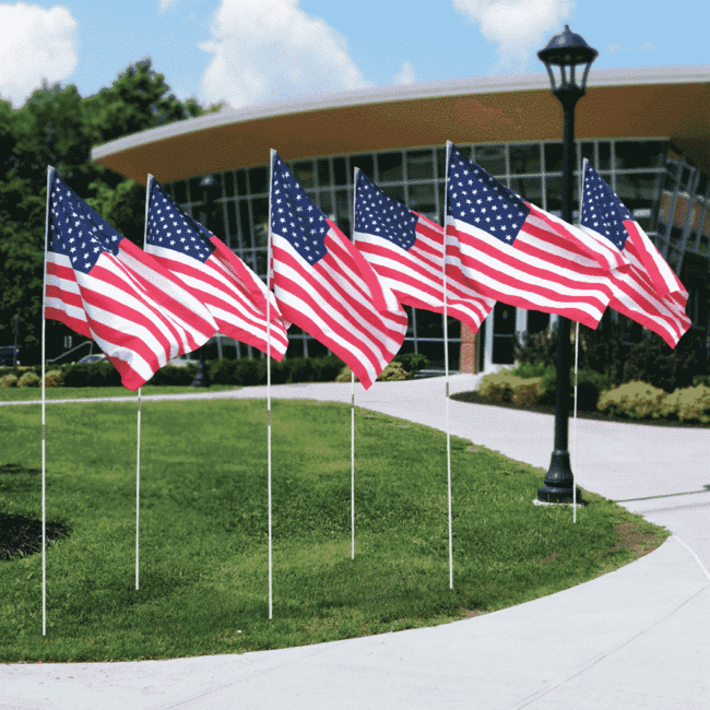 US Outdoor Field Flag with 6' Pole
