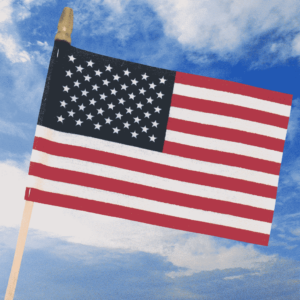 4" x 6" American Cotton Stick Flags
