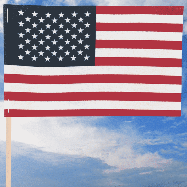American Cotton Stick Flag 4"x6" Wood