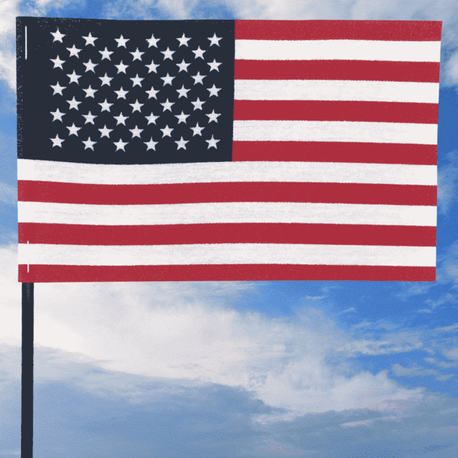 American Cotton Stick Flag 4"x6"x10" Plastic Stick