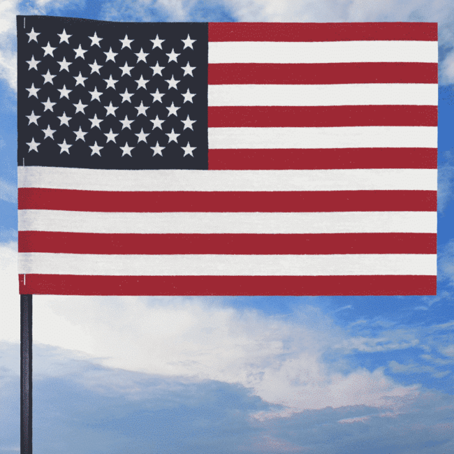 American Cotton Stick Flag 8"x12"x24" Plastic Stick