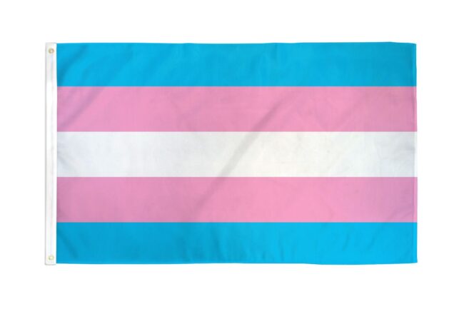 Transgender Flag 3'x5' Basic Polyester